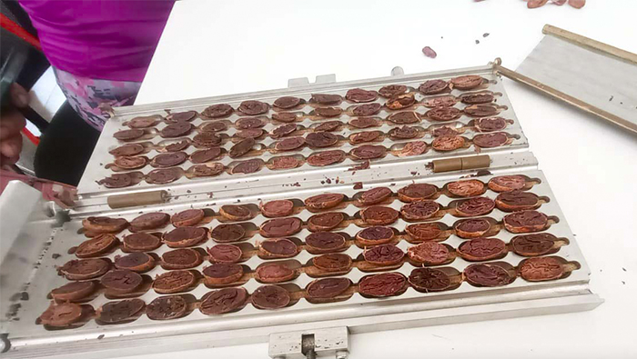 Durante el taller, se afianzaron los conocimientos del manejo de la guillotina, catación de chocolate Bitte y tasa, identificación del cacao al 8% y otras acciones más