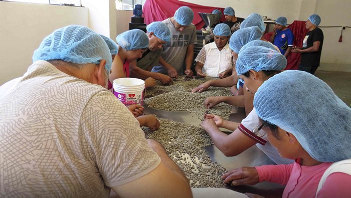 La capacitación consistió en conocer el proceso de preparación del café desde el descascarrillado, seleccionador de granos, tostadora y moledora