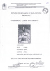 Vista preliminar de documento Estudio de Mecánica de Suelos - Pag 001-050