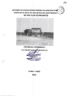 Vista preliminar de documento EVAR PI Vega Los Pajaritos