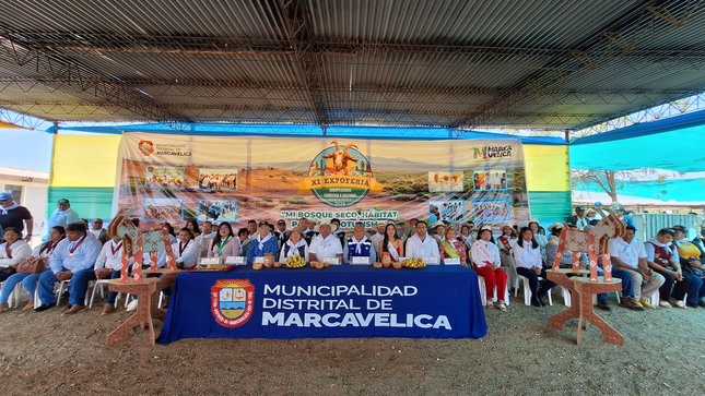 MARCAVELICA