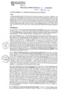 Vista preliminar de documento RGM N°519-2024