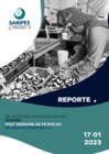 Vista preliminar de documento Reporte 17-01-2023