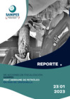 Vista preliminar de documento Reporte 23-01-2023