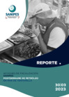 Vista preliminar de documento Reporte 30-03-2023