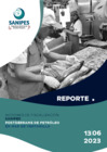 Vista preliminar de documento Reporte 13-06-2023