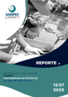Vista preliminar de documento Reporte 12-07-2023