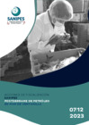 Vista preliminar de documento Reporte 07-12-2023