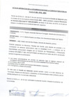 Vista preliminar de documento Acta de Aprobación de la Documentación para la Convocatoria Publica CAS