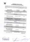 Vista preliminar de documento Cronograma y Etapas del Proceso CAS
