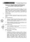 Vista preliminar de documento Anexo N° 038-2015-DV-PE
