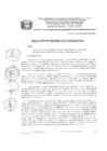 Vista preliminar de documento res 211-2024