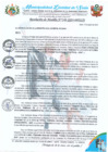 Vista preliminar de documento RA 149-2024 aprobación del PLAN DE TRABAJO FUTBOL FEMENINO II COPA