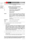 Vista preliminar de documento Informe_00687_2024_SENACE_PE_DGE_REG.1