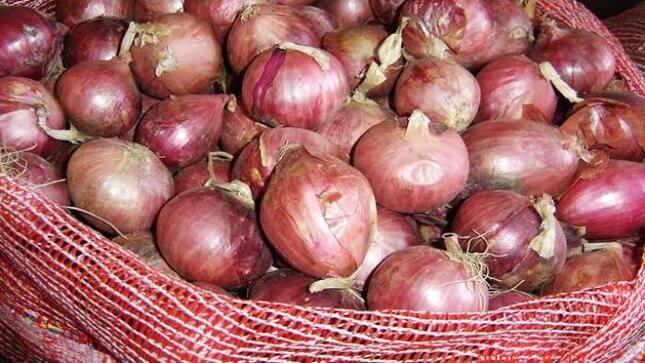 Se registró el ingreso de más de 9 mil toneladas de productos entre frutas y
verduras