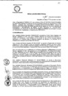 Vista preliminar de documento R.D 161-24