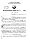 Vista preliminar de documento RDR 0717-2024