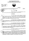 Vista preliminar de documento RDR 6348-2024