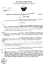 Vista preliminar de documento RDR 6355-2024