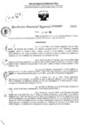 Vista preliminar de documento RDR 6357-2024