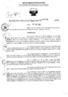 Vista preliminar de documento RDR 6358-2024