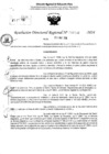 Vista preliminar de documento RDR 6368-2024