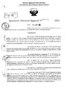 Vista preliminar de documento RDR 6370-2024