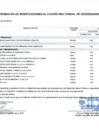 Vista preliminar de documento Anexo N° 6 - Aprobación de Modificaciones al Cuadro Multianual de Necesidades N° 00000403