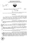 Vista preliminar de documento RDR 6375-2024