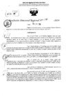 Vista preliminar de documento RDR 6380-2024