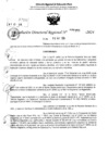 Vista preliminar de documento RDR 6383-2024