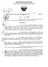 Vista preliminar de documento RDR 6384-2024
