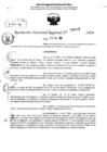Vista preliminar de documento RDR 6385-2024
