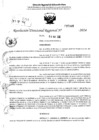 Vista preliminar de documento RDR 6386-2024