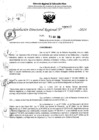 Vista preliminar de documento RDR 6387-2024