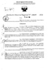 Vista preliminar de documento RDR 6389-2024