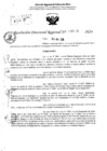 Vista preliminar de documento RDR 6391-2024