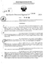 Vista preliminar de documento RDR 6396-2024