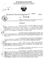 Vista preliminar de documento RDR 6397-2024