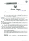 Vista preliminar de documento RD 199 DG 2024