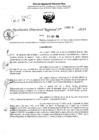 Vista preliminar de documento RDR 6401-2024