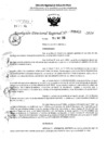Vista preliminar de documento RDR 6410-2024