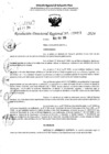 Vista preliminar de documento RDR 6411-2024