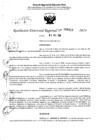 Vista preliminar de documento RDR 6412-2024