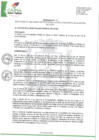 Vista preliminar de documento OM-173-que-ratifica-el-plan-distrique-aprueba-el-reglamento-de-propaganda-politica-y-electoral-en-el-distrito-de-Cayma