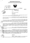Vista preliminar de documento RDR 6414-2024