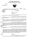 Vista preliminar de documento RDR 6417-2024