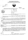 Vista preliminar de documento RDR 6420-2024