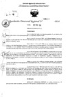 Vista preliminar de documento RDR 6427-2024