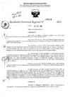 Vista preliminar de documento RDR 6434-2024